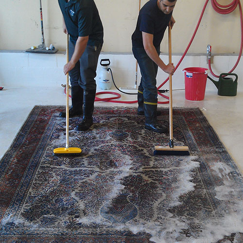Grayslake Area Rug Cleaning Services Near Me